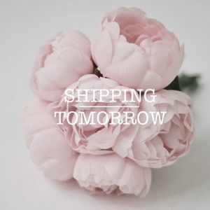 • SHIPPING TOMORROW •